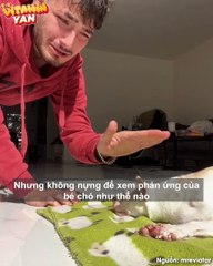 Cảm lạnh với những màn táp yêu của boss dành cho con sen, mỗi tháng chắc anh đi chích dại mấy lần