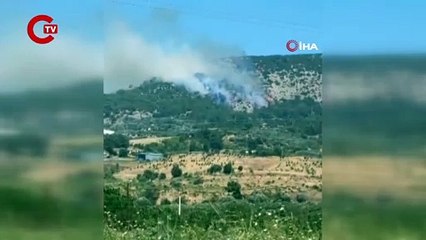 İzmir ve Manisa’da 9 orman yangını söndürüldü