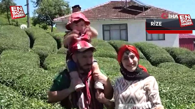 Rize’deki çay bahçesi baklava görünümlü hali ile turistlerin ilgisini çekiyor
