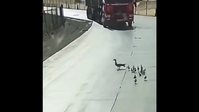 La maman de l'année... ou presque