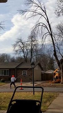 Grosse bêtise de ces bucherons