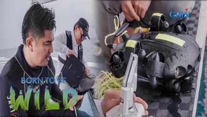 Discovering the beauty of the deep sea with the help of remotely operated vehicle | Born to be Wild