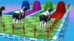 Cow Mammoth Game Animal Cows crossing fountain ESCAPE wild animals