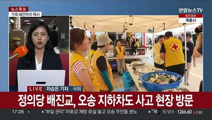 여야, 충청 수해지역 찾아…특별재난지역 지정 속도