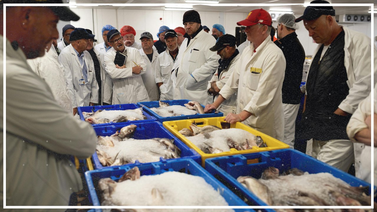 Geplatzte Brexit-Träume im britischen Fischerort Grimsby