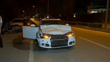 Otomobilin çarptığı hayvan telef oldu