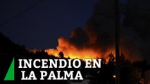 Un incendio forestal en La Palma afecta a varias viviendas y obliga a la evacuación de vecinos