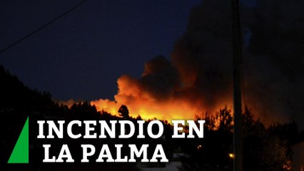 Download Video: Un incendio forestal en La Palma afecta a varias viviendas y obliga a la evacuación de vecinos