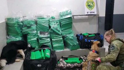 Video herunterladen: Casal é preso transportando 285 kg de maconha no caminhão, na rodovia BR-369