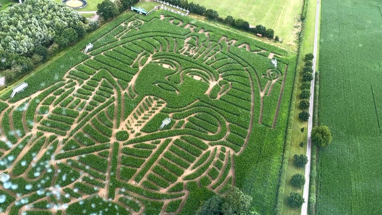 York Maize Maze 2023 Revealed
