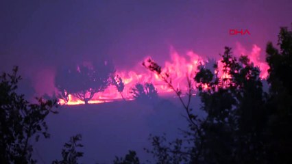 Çanakkale'deki Orman Yangınında Kemel Köyüne Sıçradı