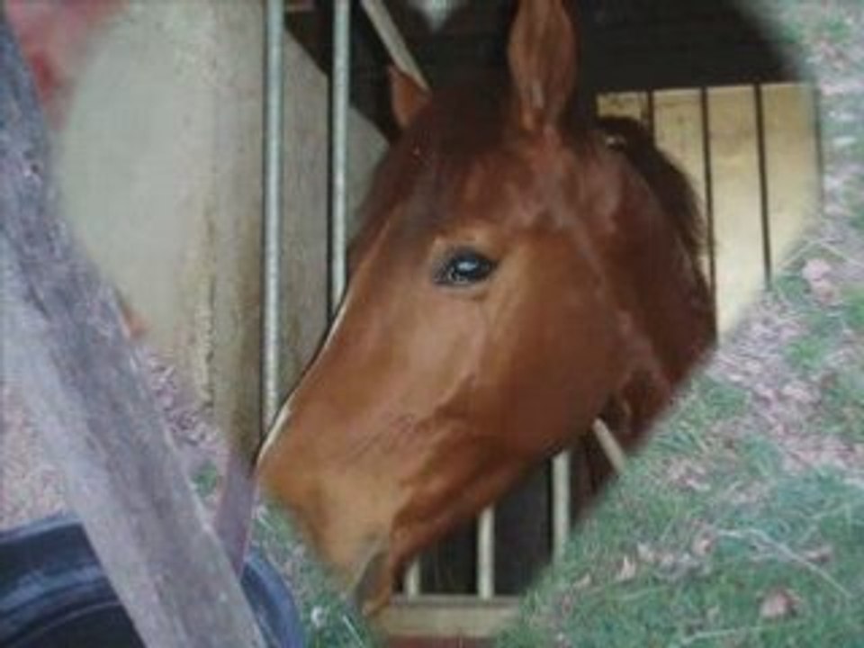 Claire-Toulouse