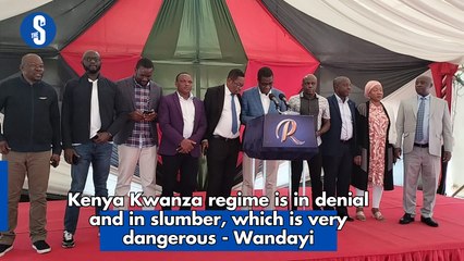 Opiyo Wandayi Criticizes Kenya Kwanza Regime for Denial and Inaction 🚨