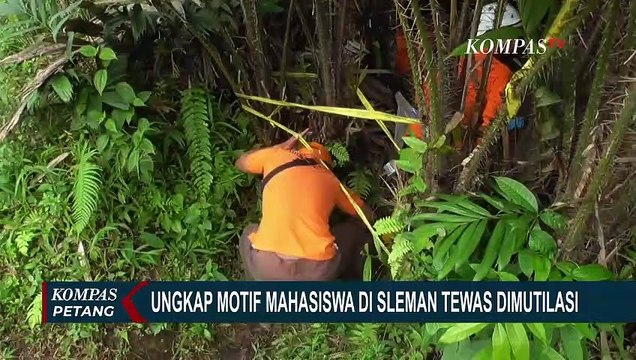 Kasus Pembunuhan dan Mutilasi di Sleman, Begini Tanggapan Krimonolog UI Adrianus Meliala