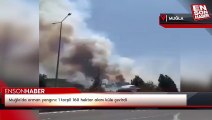 Muğla'da orman yangını: 1 torpil 160 hektar alanı küle çevirdi