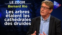 Zoom - Bernard Rio : Les secrets de la forêt des Celtes