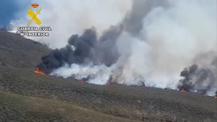 Huge wildfire rages on La Palma forcing thousands to evacuate