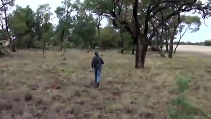 Ozzy Man Reviews_ Man Punches Kangaroo