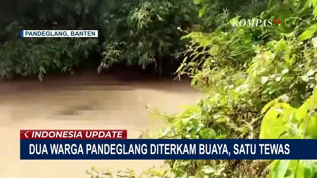Sempat Hilang, Jasad Warga Pandeglang yang Diterkam Buaya Berhasil Ditemukan