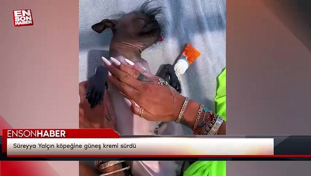 Süreyya Yalçın köpeğine güneş kremi sürdü