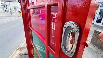 Spectacular "Rainbow" telephone box in Burgess Hill near Brighton, Sussex
