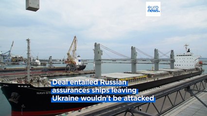 The EU says Russia's decision to halt Black Sea grain deal "totally unjustified"