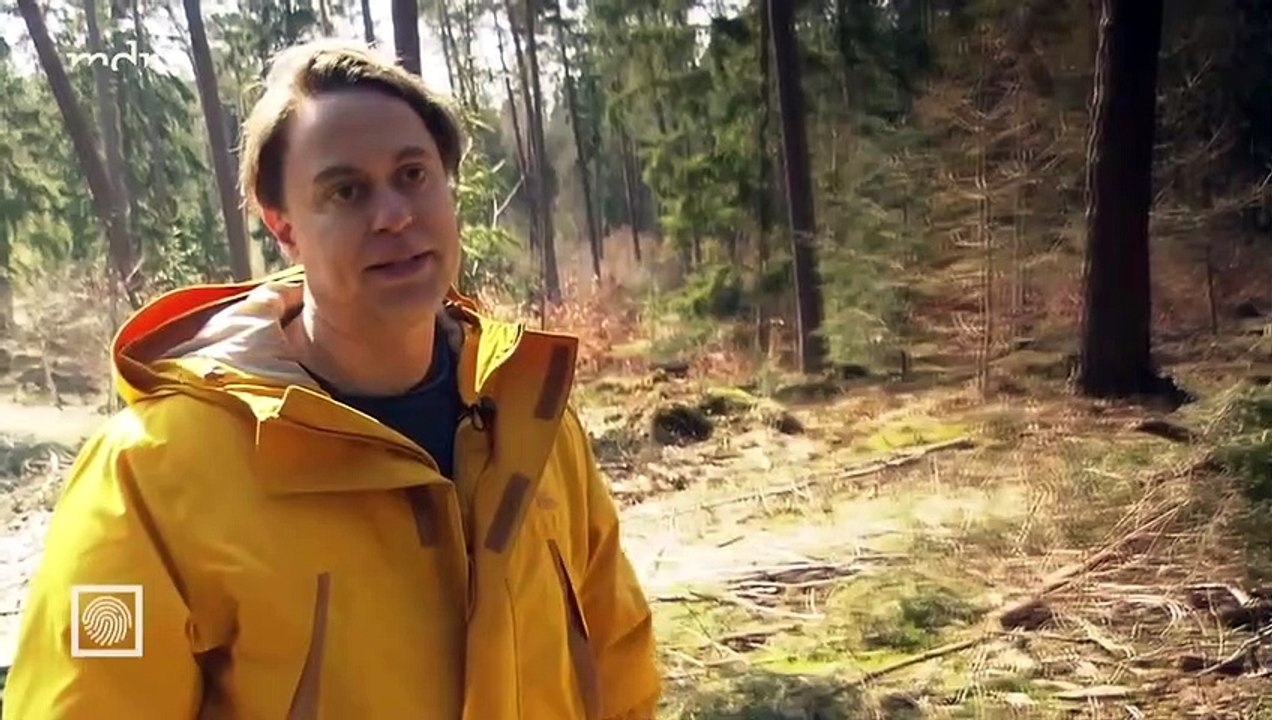 Kripo Live vom 16.07.2023