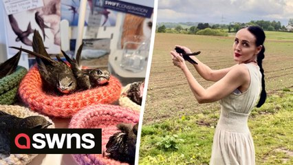 Deaf woman who nurses injured swifts back to life opens “UK’s first” migratory bird orphanage and sanctuary