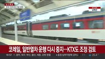 코레일, 일반열차 운행 다시 중지…KTX도 조정 검토