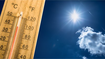 Canicule : vos droits au travail lors d’une vague de chaleur