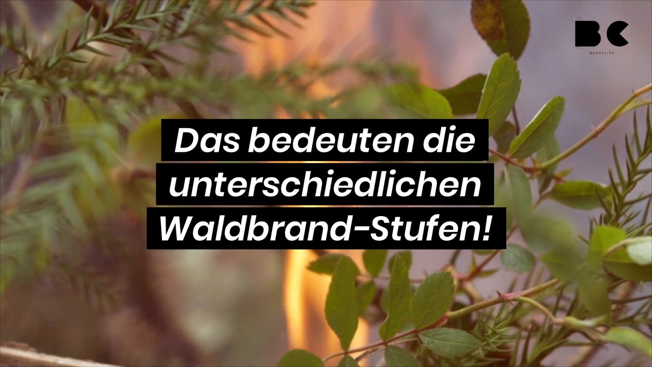 Das bedeuten die unterschiedlichen Waldbrand-Stufen!