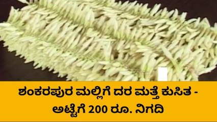 ಘಮ ಘಮಿಸೋ ಶಂಕರಪುರ ಮಲ್ಲಿಗೆ ಧಾರಣೆ ಮತ್ತೆ ಕುಸಿತ: ಹೀಗಿದೆ ರೇಟ್