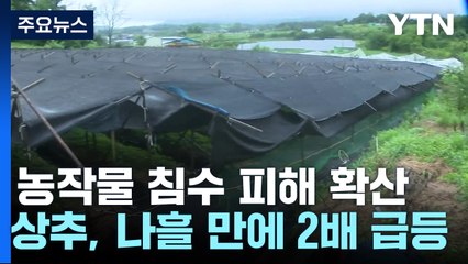 농작물 침수 피해 확산...상추, 나흘 만에 2배 급등 / YTN