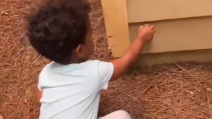 Curious 3 y/o boy grossed out by snail after touching its shell