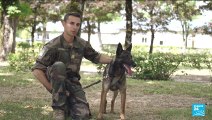 Défilé du 14 juillet : en immersion avec le 132e Régiment d'Infanterie Cynotechnique de l'Armée de Terre