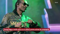 Snoop Dogg révèle avoir eu un cafard comme animal de compagnie : 'J'avais un cafard qu'on ne pouvait pas tuer'