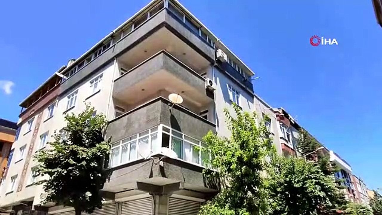 İstanbul'da evlere giren yarasalar paniğe neden oldu