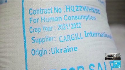 Kremlin says Black Sea grain deal has 'de facto ended'