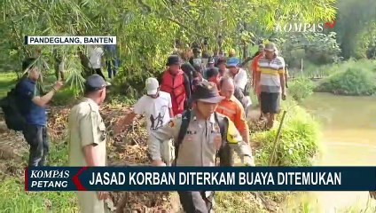 Geger! 2 Warga Pandeglang Banten Diterkam Buaya, 1 Orang Tewas