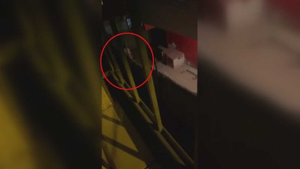 Yavru köpeği sopayla dövdü, tepki gösterenleri tehdit etti