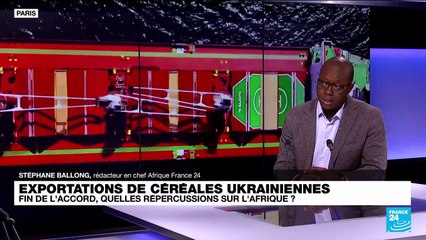 Céréales ukrainiennes : fin de l'accord, quelles répercussions sur l'Afrique ?