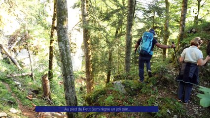 Reportage - Au pied du Petit Som règne un joli son… de piano - Reportages - TéléGrenoble