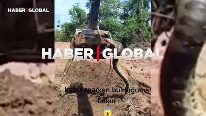 İnşaat ustası, kazı yaparken uyuyan pitonu fark etmedi, o anlar gündem oldu
