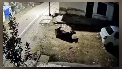 Hindistan'da 65 yaşındaki temizlik işçisi, ineklere tecavüz etti