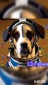 astronaut dog talking about space