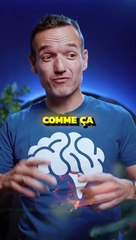 Le paradoxe des anniversaires 