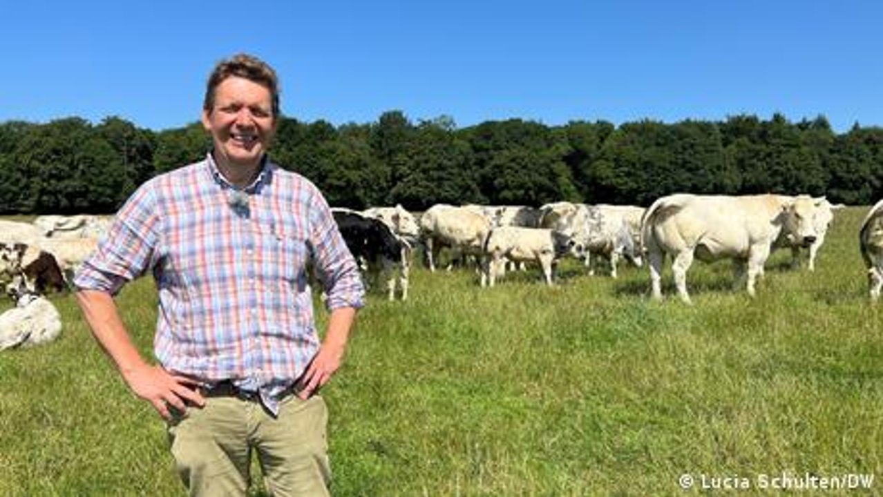 EU-Mercosur trade deal: A tale of two cattle br...