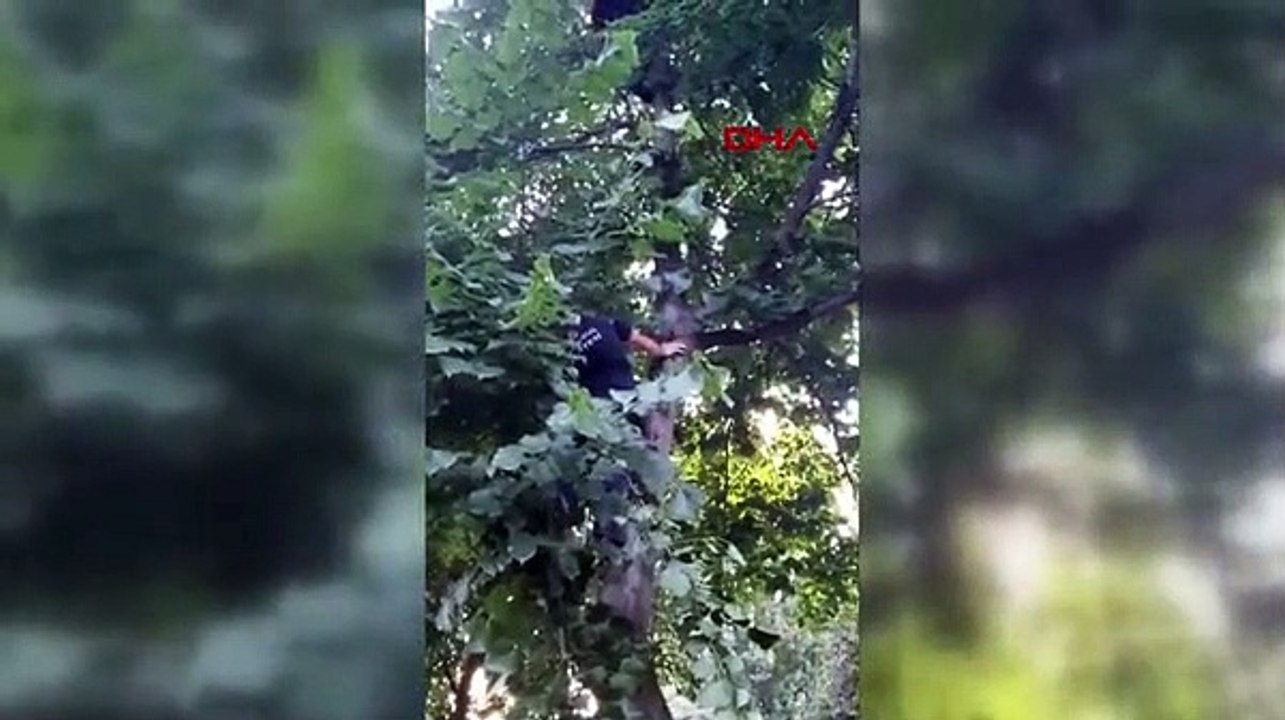 İtfaiye eri kalbi duran kediyi kalp masajıyla hayata döndürdü