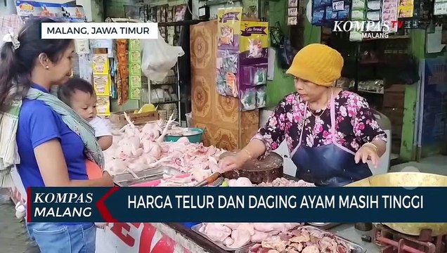 Sudah 3 Bulan, Harga Telur dan Daging Ayam di Pasar Masih Tinggi
