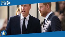 Le prince Harry, inquiet pour ses finances, aurait repris contact avec son frère William pour une 